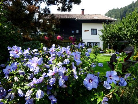 Flat in Millstatt - Vacation, holiday rental ad # 21351 Picture #0