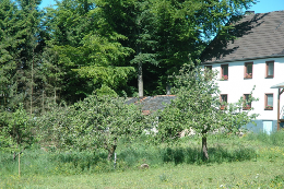 Haus in Kall-benenberg für  12 •   mit Terrasse 