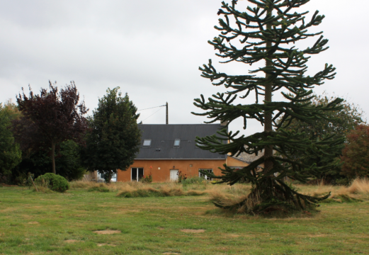 Casa rural Jupilles - 11 personas - alquiler