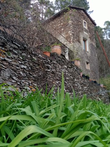 Casa en Le chambon - Detalles sobre el alquiler n1023 Foto n10