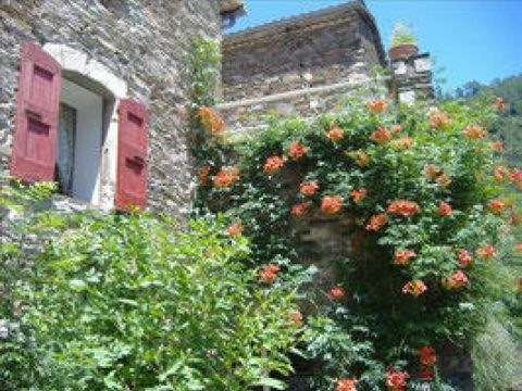 Casa en Le chambon - Detalles sobre el alquiler n1023 Foto n12