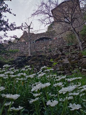 Casa rural en Le chambon - Detalles sobre el alquiler n1024 Foto n10