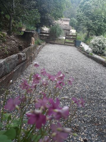 Casa rural en Le chambon - Detalles sobre el alquiler n1024 Foto n15