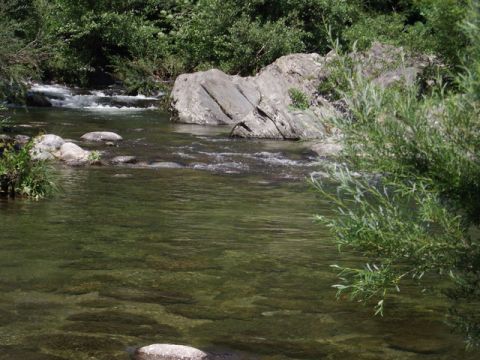 Casa rural en Le chambon - Detalles sobre el alquiler n1024 Foto n17