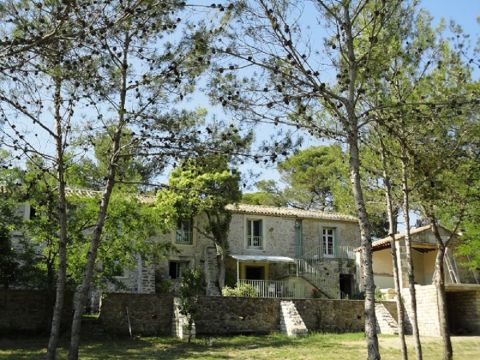 Gite à Murviel les Montpellier - Location vacances, location saisonnière n°12300 Photo n°8
