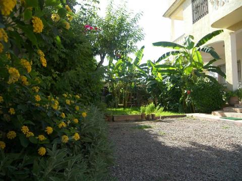 House in Saidia - Vacation, holiday rental ad # 12681 Picture #1