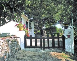 House in Callosa d'en sarria - Vacation, holiday rental ad # 1559 Picture #4 thumbnail