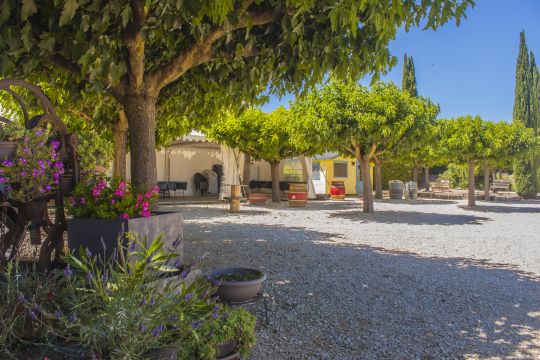 Casa rural en Collias - Detalles sobre el alquiler n1753 Foto n9