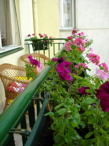 Appartement à Budapest - Location vacances, location saisonnière n°1823 Photo n°3