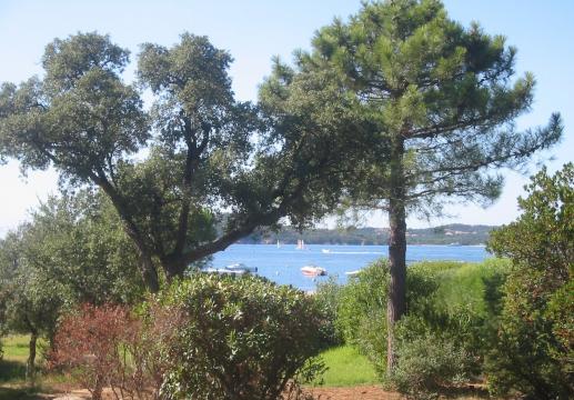 Villa bord de mer 6 pers - Corse sud - baie de pinarello Jardin jusqu'...