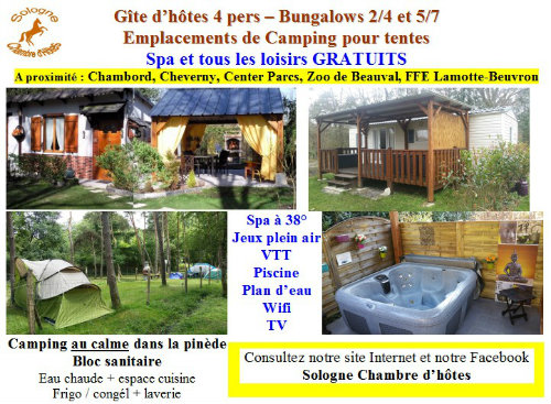 Gite in La ferté Beauharnais - Vacation, holiday rental ad # 1993 Picture #19 thumbnail
