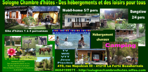 La fert beauharnais -    animals accepted (dog, pet...) 