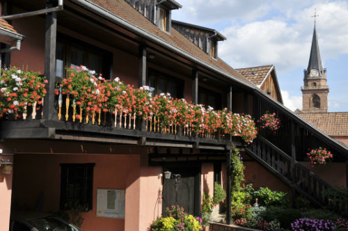 Gite à Bergheim - Location vacances, location saisonnière n°2096 Photo n°1 thumbnail