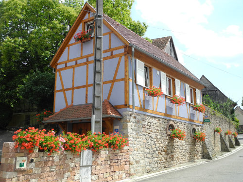 Gite  Epfig pour  4 •   avec terrasse 