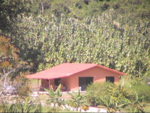 House in Lepanto - Vacation, holiday rental ad # 2565 Picture #0