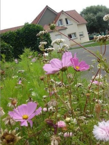 Zimmer mit Frhstck in Berck sur mer - Anzeige N  3538 Foto N4