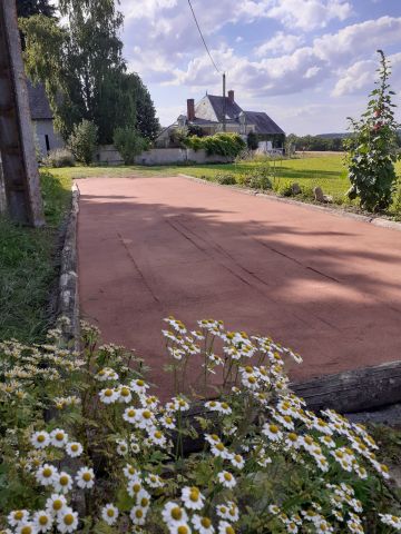 Casa rural en Chemill sur Indrois - Detalles sobre el alquiler n3546 Foto n11