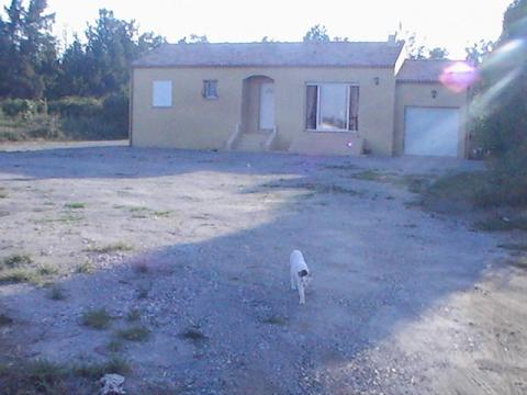 House in Lucciana - Vacation, holiday rental ad # 3738 Picture #4 thumbnail