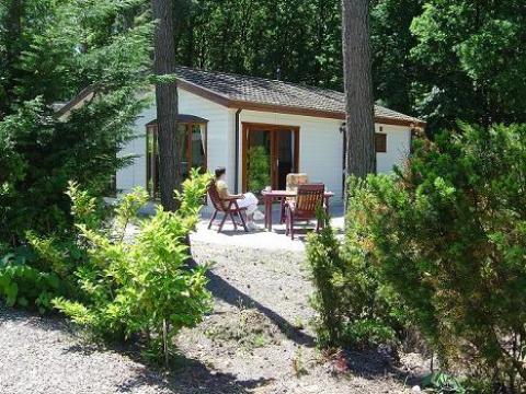 Chalet in Uddel - Vacation, holiday rental ad # 3794 Picture #0