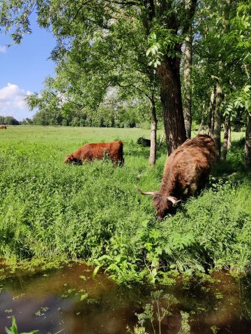 Ferme  Leeuwarden - Location vacances, location saisonnire n3959 Photo n0