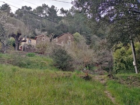 Casa en Le chambon - Detalles sobre el alquiler n461 Foto n10