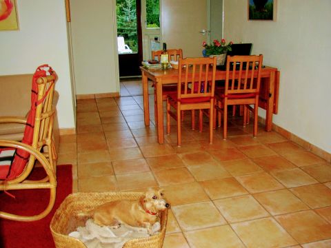 Haus in Domburg-Oostkapelle - Anzeige N  481 Foto N9