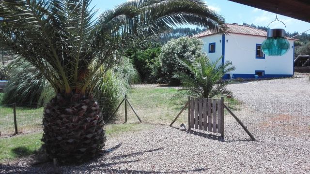 Maison  Sao Luis - Location vacances, location saisonnire n485 Photo n17