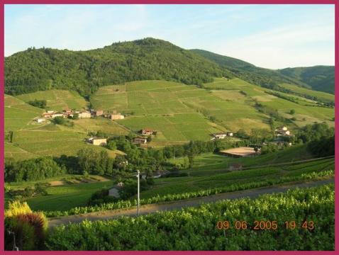 Gite in Vaux en beaujolais - Vacation, holiday rental ad # 4874 Picture #5 thumbnail
