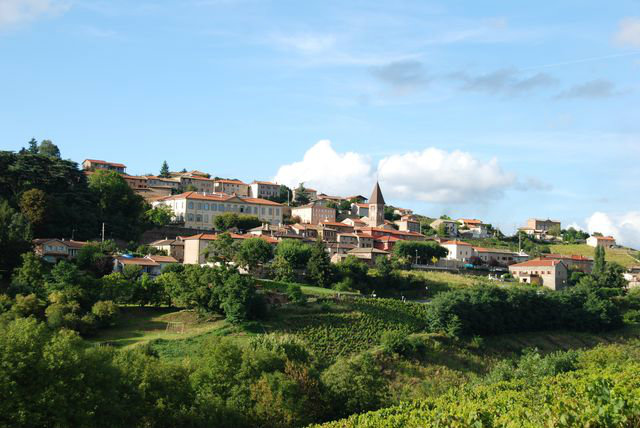 Gite  Vaux en beaujolais pour  12 •   avec terrasse 