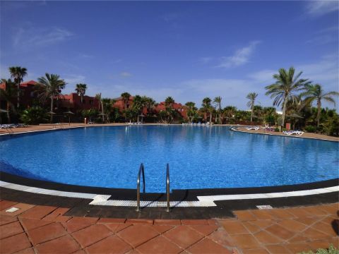 Apartamento en Corralejo - Detalles sobre el alquiler n5006 Foto n10