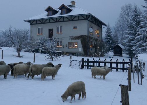 Talo (miss) Brezno - Ilmoituksen yksityiskohdat:525 Kuva nro17