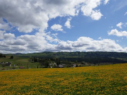 Talo (miss) Brezno - Ilmoituksen yksityiskohdat:525 Kuva nro18