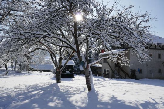 Talo (miss) Brezno - Ilmoituksen yksityiskohdat:525 Kuva nro19