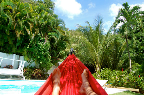 Plage De Grande Anse (guadelou... photo