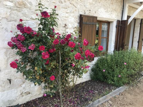 Gite in Monsaguel - Vacation, holiday rental ad # 5428 Picture #12