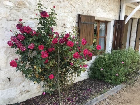 Casa rural en Monsaguel - Detalles sobre el alquiler n5428 Foto n12