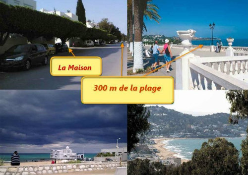 La Marsa photo