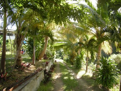 Gite in Sainte Anne - Vacation, holiday rental ad # 6926 Picture #1 thumbnail