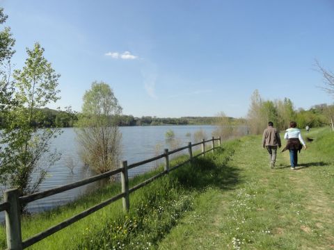 Ferme  Eymet - Location vacances, location saisonnire n6970 Photo n14