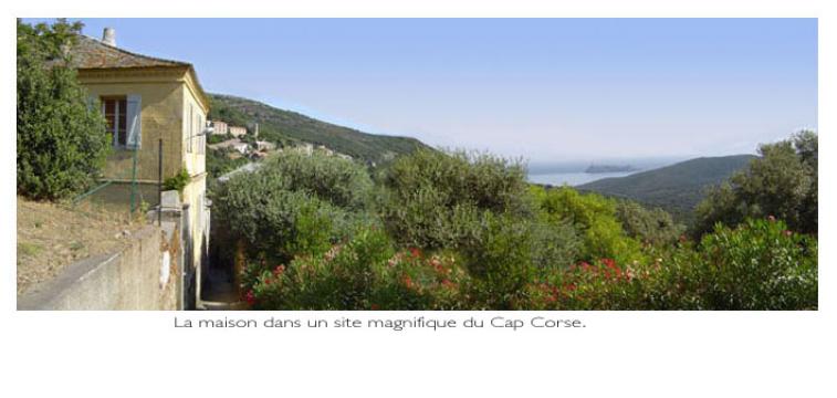 House in Ersa - Vacation, holiday rental ad # 7019 Picture #5 thumbnail