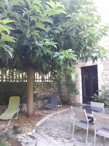 Gite  Sainte enimie - Location vacances, location saisonnire n704 Photo n8