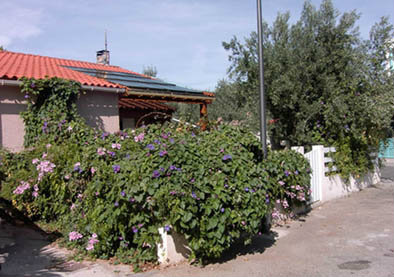 Cases photo