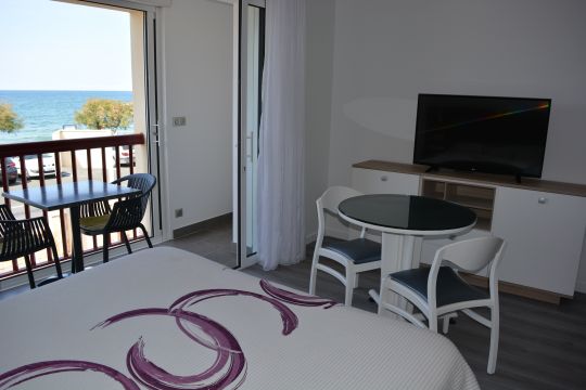 Studio in Hendaye - Vacation, holiday rental ad # 8651 Picture #0