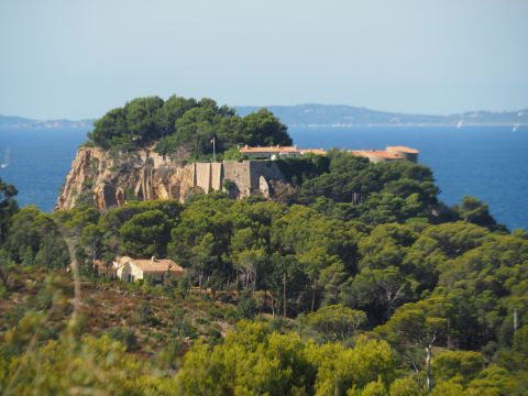 Apartamento en La faviere (Bormes les Mimosas) - Detalles sobre el alquiler n8718 Foto n18