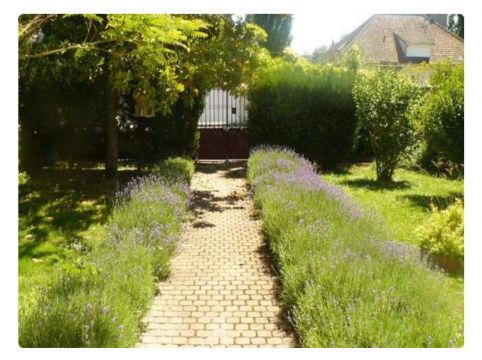 Studio in Rieux - Vacation, holiday rental ad # 8930 Picture #2