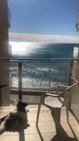 Appartement in Villajoyosa - Anzeige N  9539 Foto N0