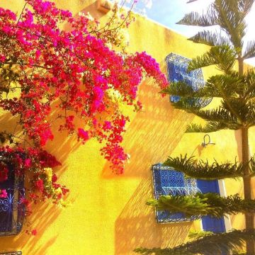Maison à Djerba - Location vacances, location saisonnière n°9553 Photo n°12 thumbnail