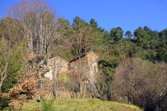 Casa en Le chambon - Detalles sobre el alquiler n9987 Foto n14