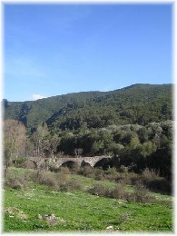 House in Piedicorte-di-caggio for   6 •   animals accepted (dog, pet...) 