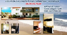 Apartamento en Capbreton para  4 •   animales aceptados (perro, gato...) 